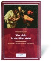 bokomslag Was nicht in der Bibel steht