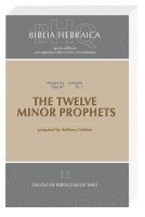 bokomslag Biblia Hebraica Quinta (BHQ). Gesamtwerk zur Fortsetzung / The Twelve Minor Prophets