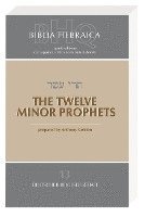The Twelve Minor Prophets 1