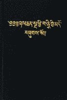 bokomslag Bibel Tibetanisch