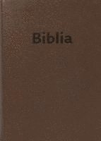 bokomslag Bibel Slowakisch