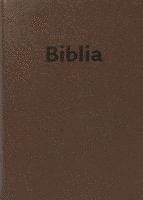 Bibel Slowakisch 1