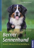 bokomslag Berner Sennenhund
