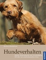 bokomslag Hundeverhalten