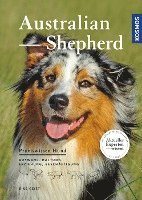 bokomslag Australian Shepherd