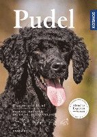 Carina Beck - Pudel, Häftad