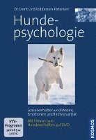 bokomslag Hundepsychologie