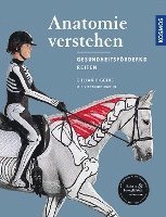 bokomslag Anatomie verstehen - Pferde gesundheitsfördernd reiten - Das Praxisbuch