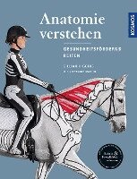Gillian Higgins, Stephanie Martin - Anatomie verstehen - Pferde gesundheitsfördernd reiten - Das Praxisbuch, Inbunden