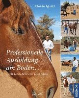 bokomslag Professionelle Ausbildung am Boden