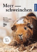 bokomslag Meerschweinchen