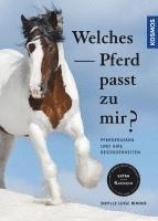 Welches Pferd passt zu mir? 1