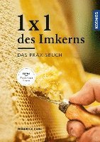 Friedrich Pohl - 1 x 1 des Imkerns, Inbunden