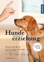 Hundeerziehung