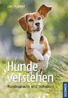 bokomslag Hunde verstehen