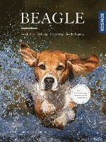 bokomslag Beagle