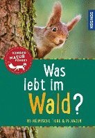 bokomslag Was lebt im Wald? Kindernaturführer