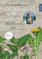 bokomslag Die Kräuterapotheke Gottes