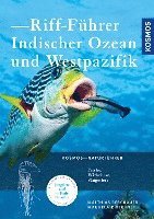 bokomslag Riff-Führer Indischer Ozean und Westpazifik