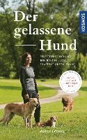 Der gelassene Hund 1