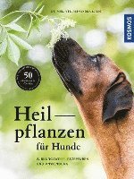 bokomslag Heilpflanzen für Hunde