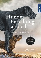 bokomslag Hunde-Forschung aktuell