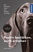 bokomslag Positiv bestärken - sanft erziehen