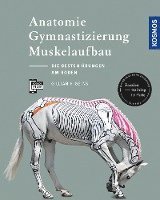 Anatomie, Gymnastizierung, Muskelaufbau