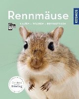 Rennmäuse 1