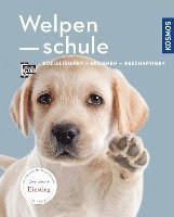 Welpenschule 1