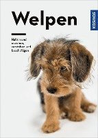 bokomslag Welpen