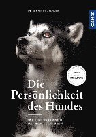 bokomslag Die Persönlichkeit des Hundes