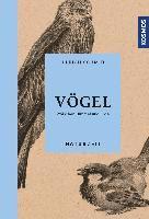 bokomslag Naturzeit Vögel