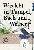 bokomslag Was lebt in Tümpel, Bach und Weiher?