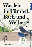 Was lebt in Tümpel, Bach und Weiher? 1