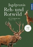 bokomslag Jagdpraxis Reh- und Rotwild