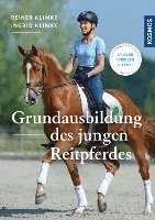 bokomslag Grundausbildung des jungen Reitpferdes