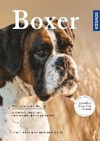 bokomslag Boxer