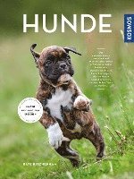 bokomslag Hunde