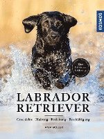 bokomslag Labrador Retriever
