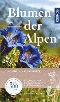 Blumen der Alpen 1