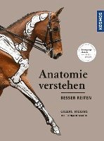 bokomslag Anatomie verstehen - besser reiten