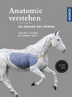 Gillian Higgins - Anatomie verstehen - Die Organe des Pferdes, Inbunden