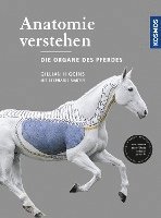 Anatomie verstehen - Die Organe des Pferdes 1