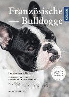 bokomslag Französische Bulldogge