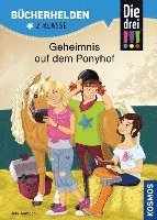 bokomslag Die drei !!!, Bücherhelden 2. Klasse, Geheimnis auf dem Ponyhof