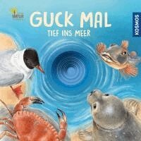Lisa Apfelbacher, Regina Schwarz - Guck mal tief ins Meer, Kartonnage