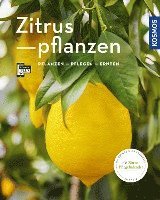 bokomslag Zitruspflanzen (Mein Garten)