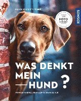 bokomslag Was denkt mein Hund?