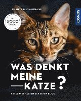 bokomslag Was denkt meine Katze